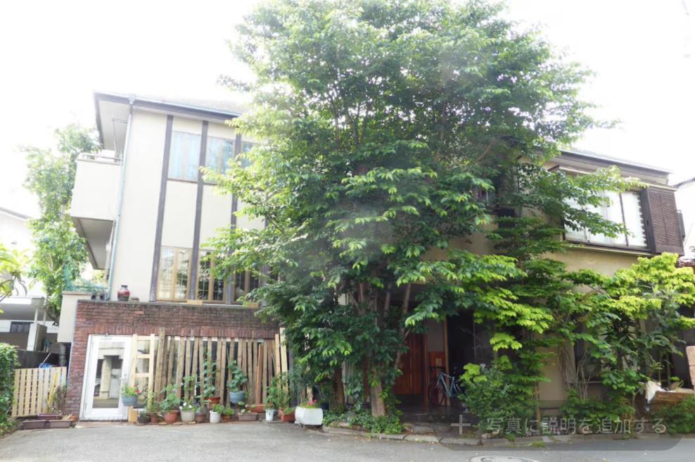 Diplomat House Very Close To Jr Station Chalet *